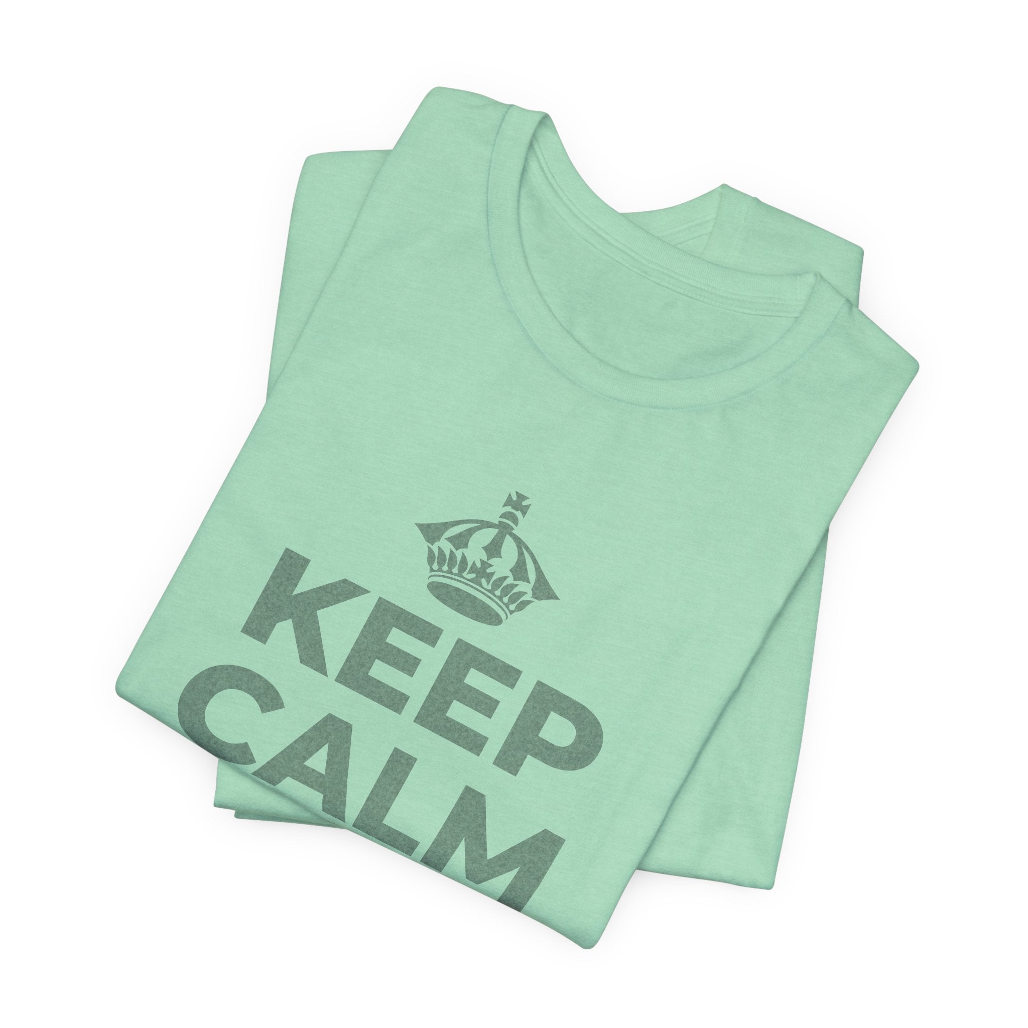 KEEP CALM AND OWN IT T-Shirt (Baby Blue–Silver)