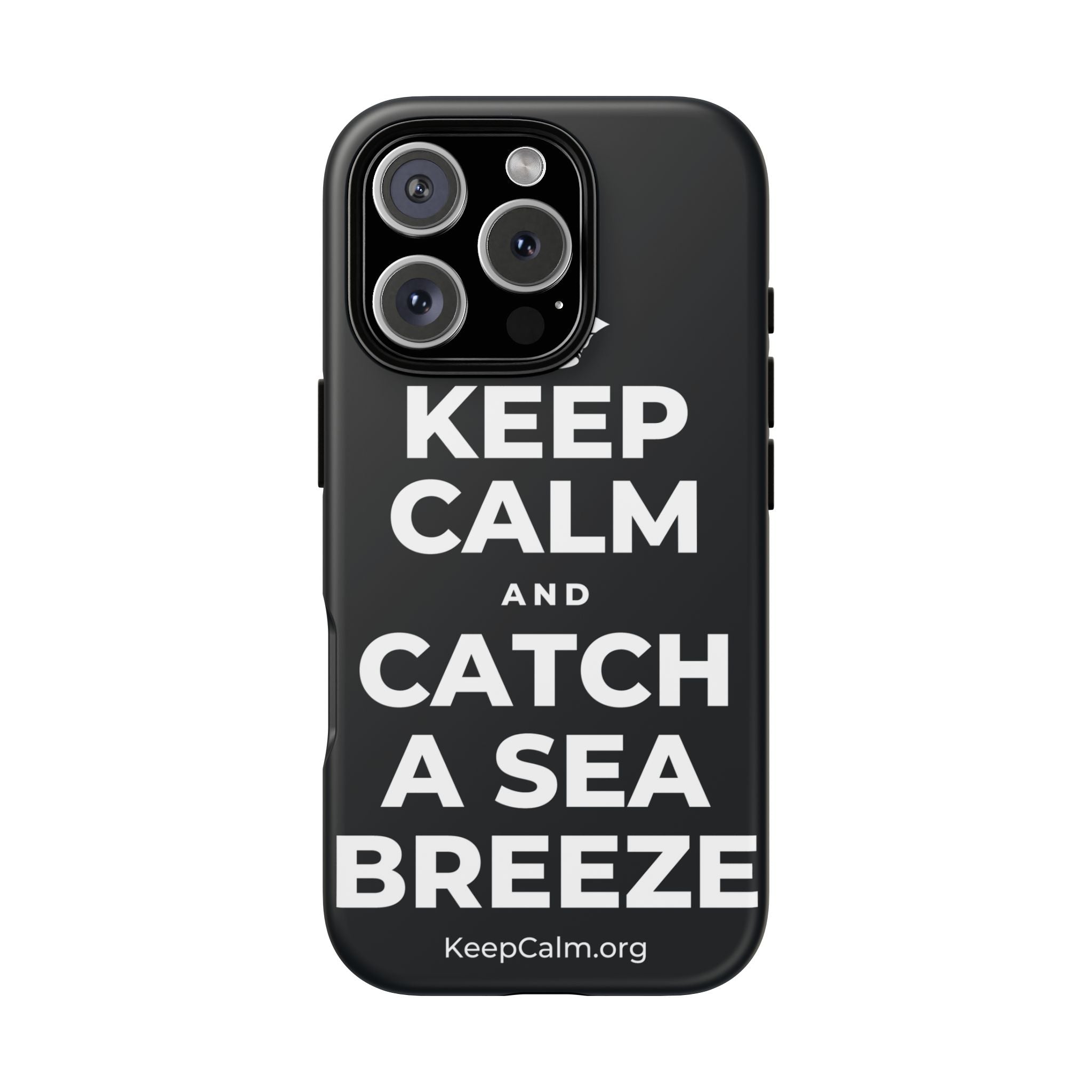 KEEP CALM AND CATCH A SEA BREEZE Phone Case (Dark)