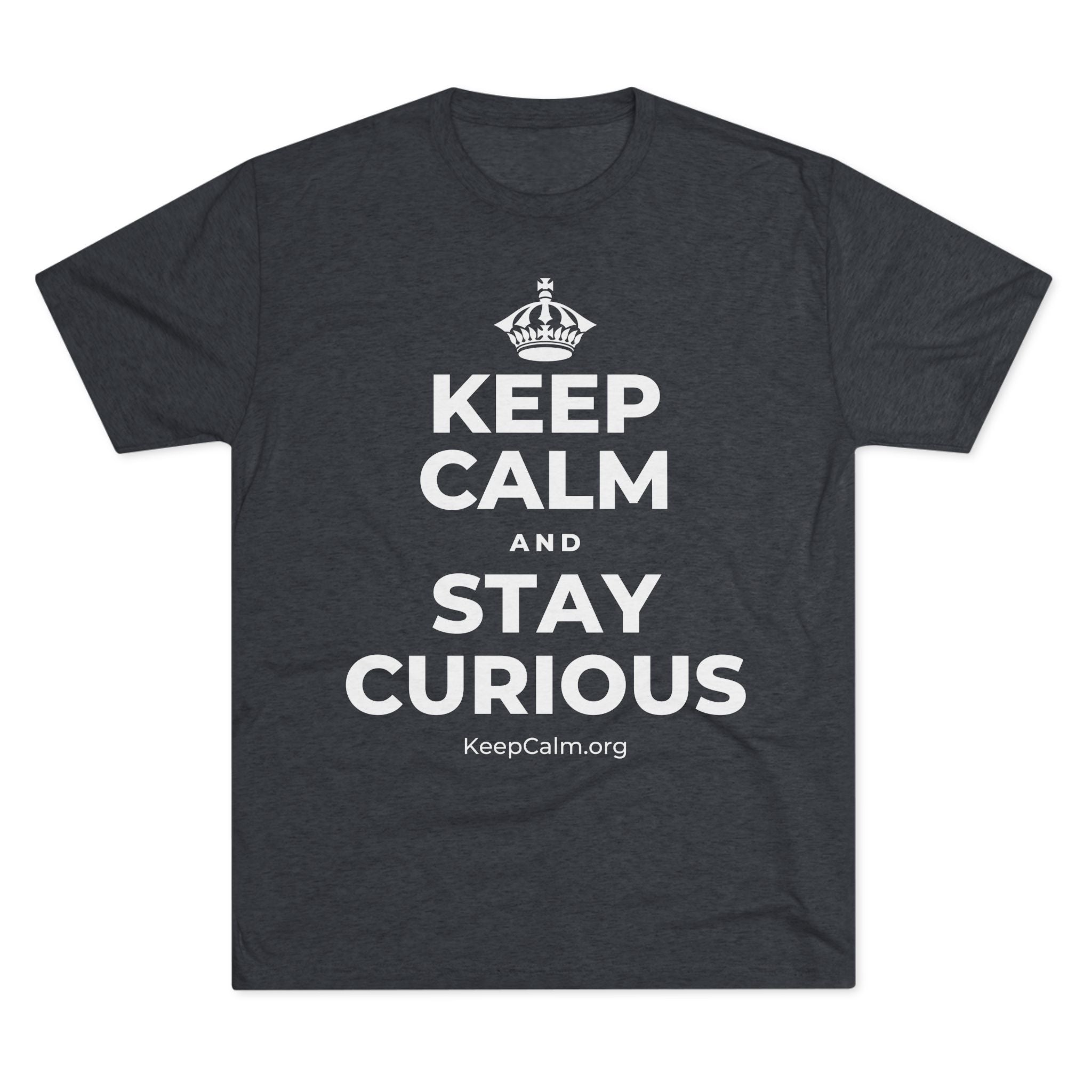 KEEP CALM AND STAY CURIOUS Tri-Blend Tee