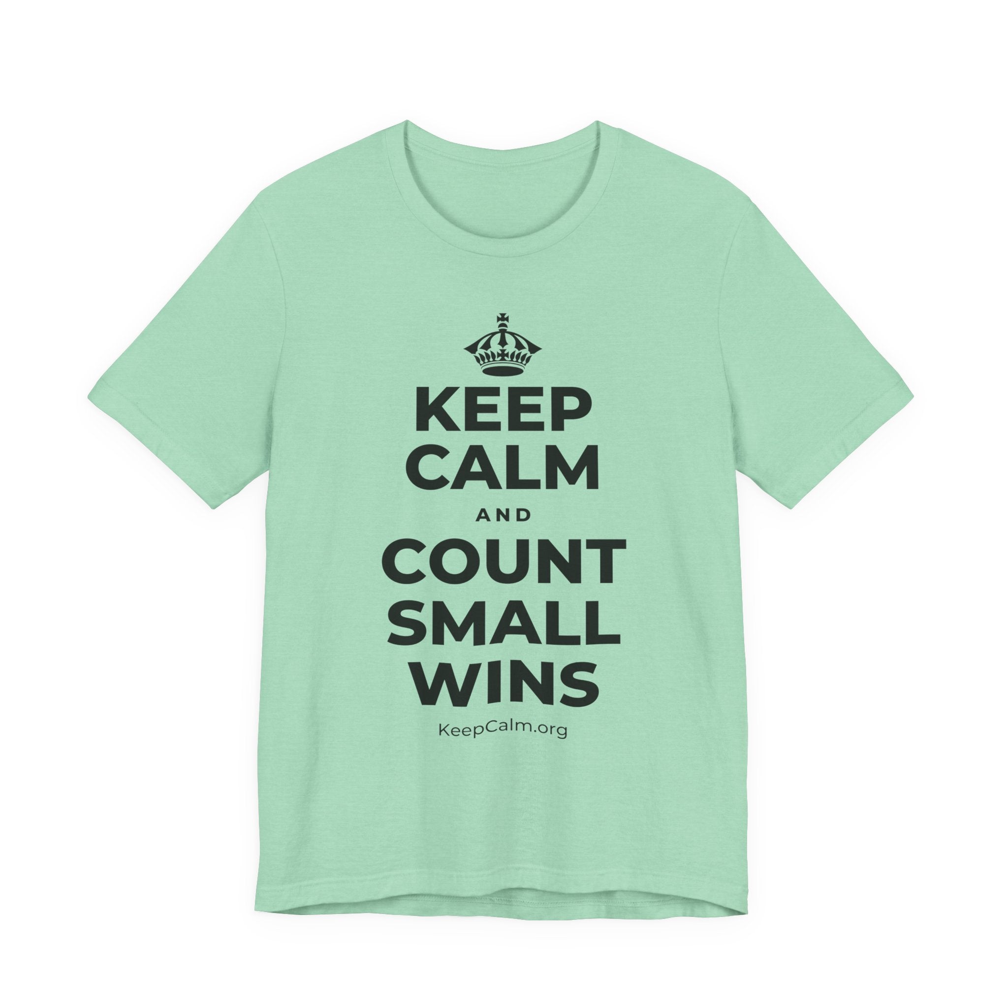 KEEP CALM AND COUNT SMALL WINS T-Shirt (Baby Blue–Silver)