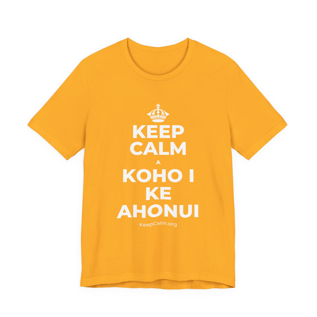KEEP CALM A KOHO I KE AHONUI T-Shirt (Baby Blue–Silver)