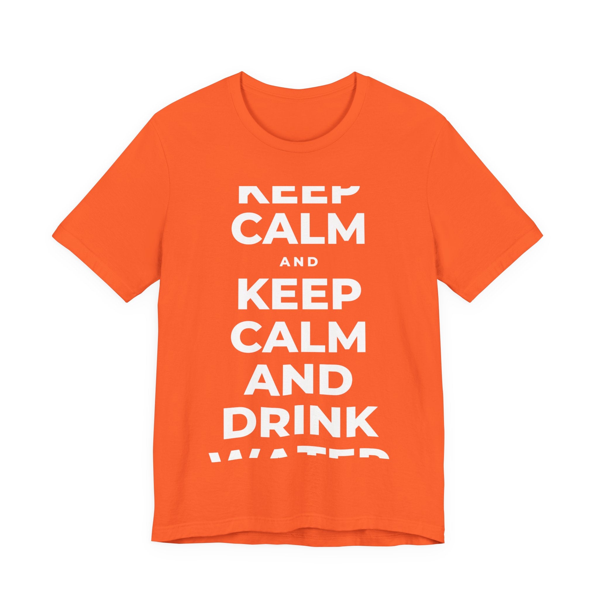 KEEP CALM AND DRINK WATER T-Shirt (Baby Blue–Silver)