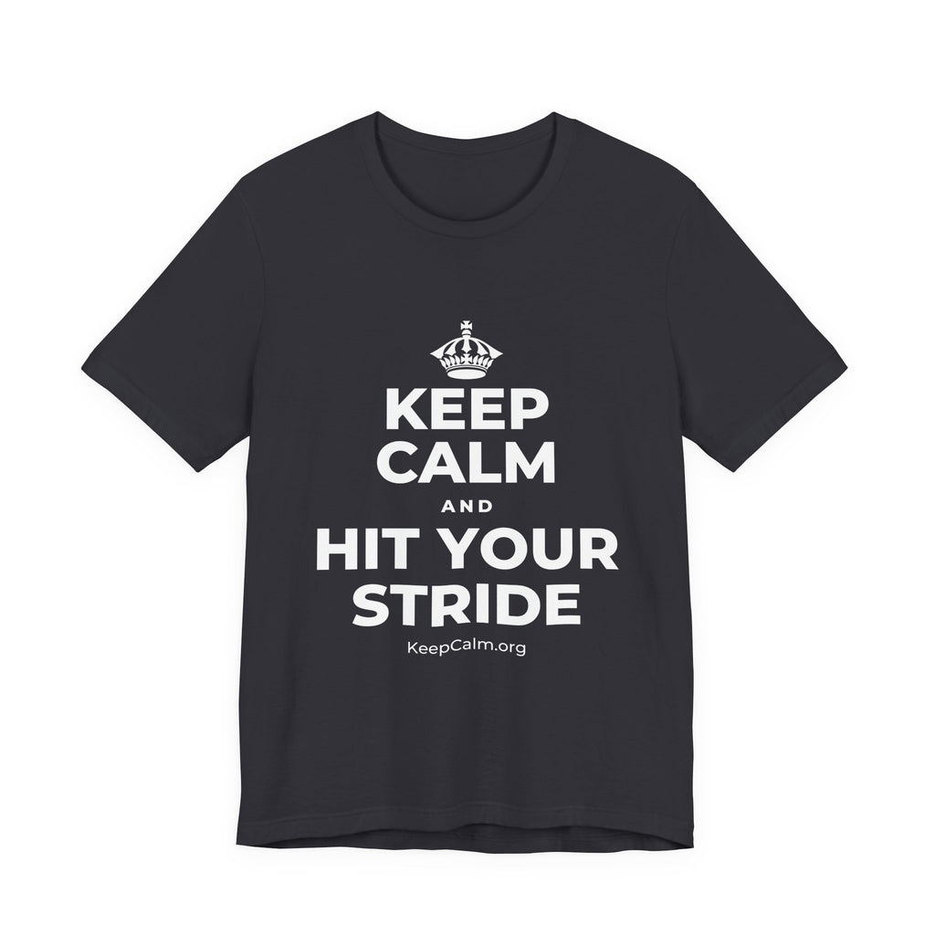 KEEP CALM AND HIT YOUR STRIDE T-Shirt (Baby Blue–Silver)