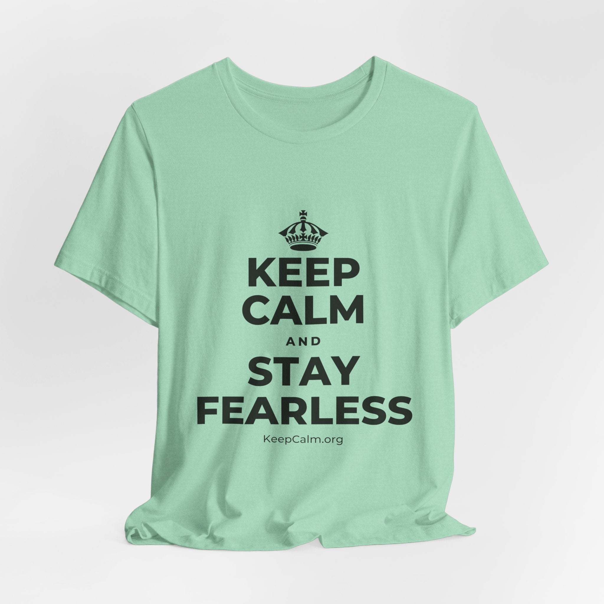 KEEP CALM AND STAY FEARLESS T-Shirt (Baby Blue–Silver)