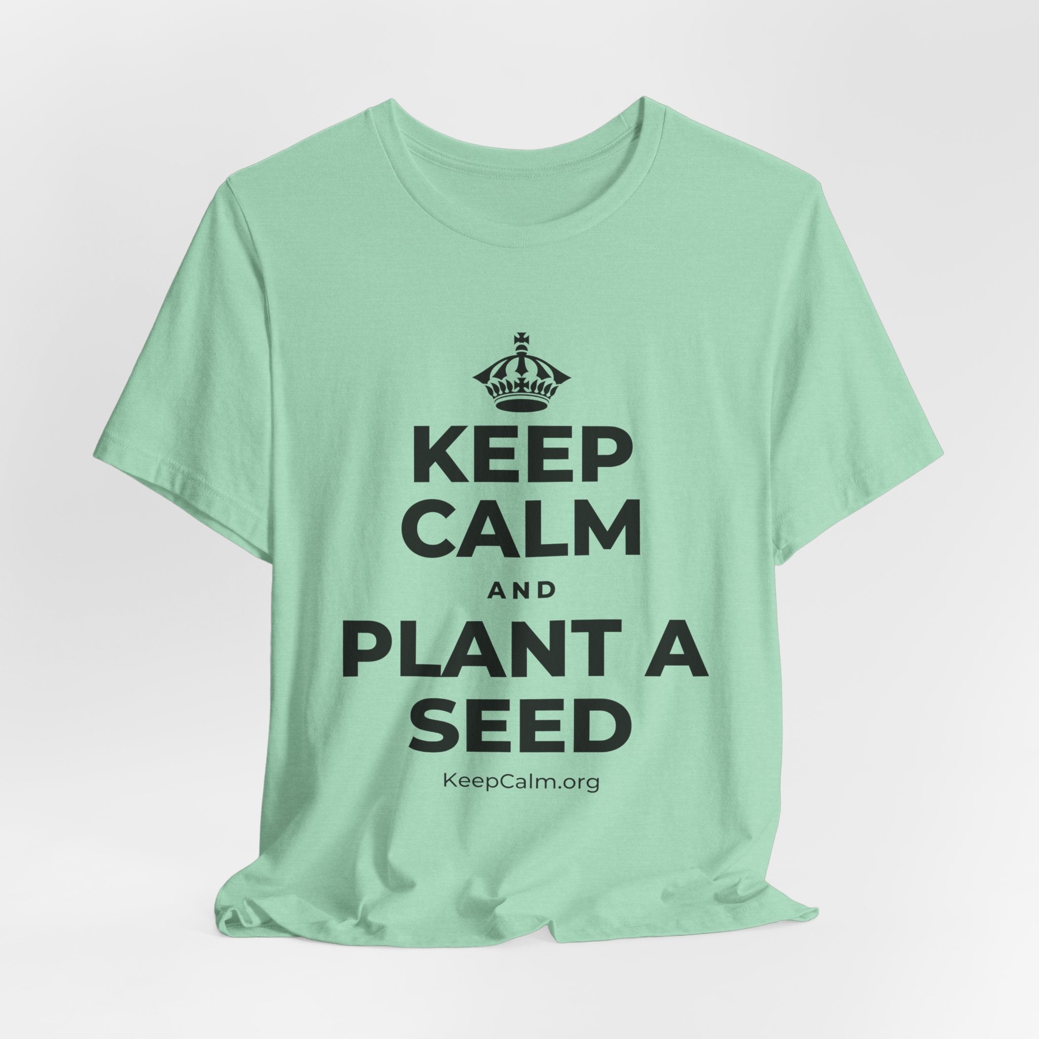 KEEP CALM AND PLANT A SEED T-Shirt (Baby Blue–Silver)