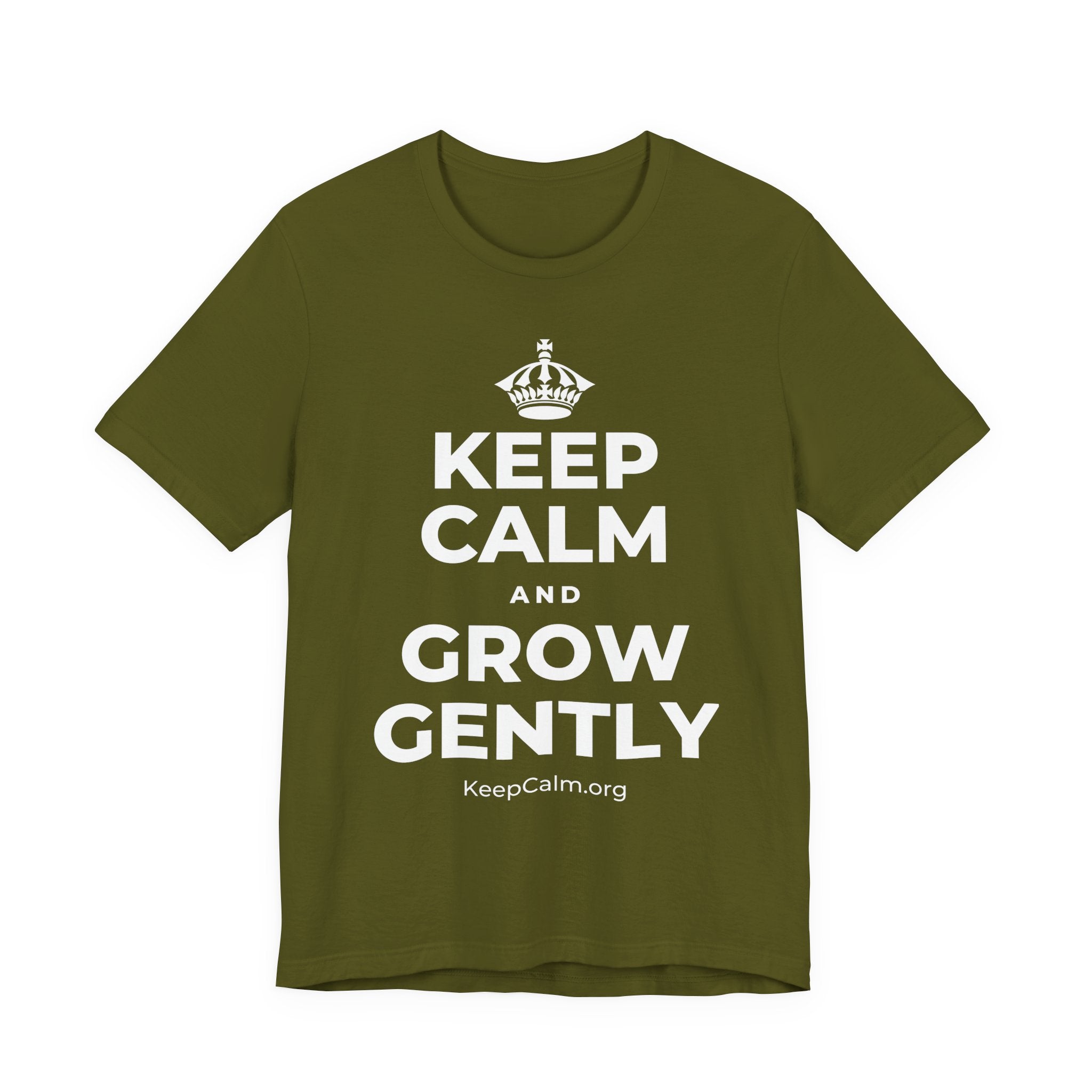 KEEP CALM AND GROW GENTLY T-Shirt (Baby Blue–Silver)