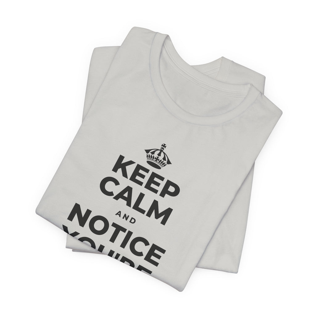 KEEP CALM AND NOTICE YOU'RE SAFE RIGHT NOW T-Shirt (Baby Blue–Silver)