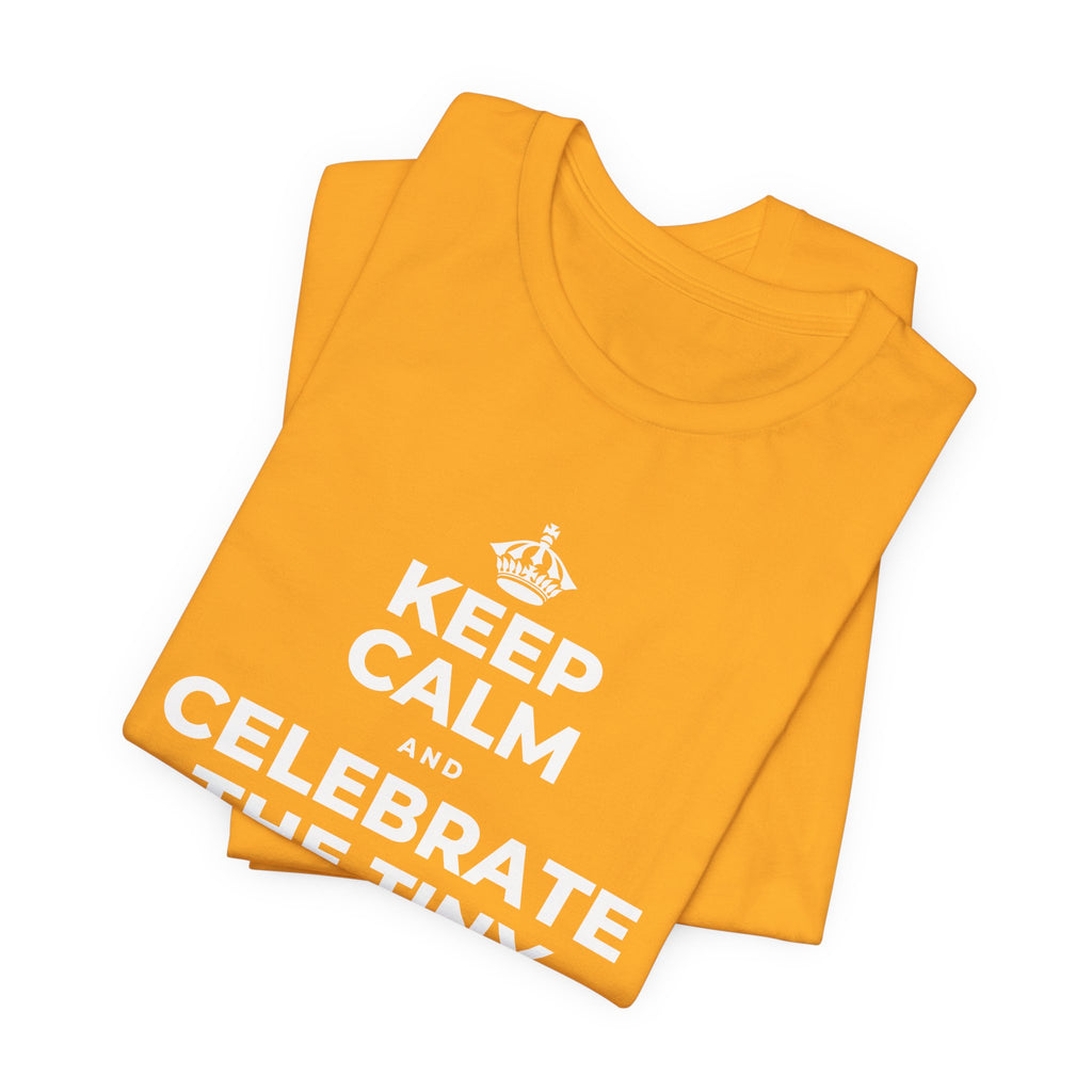 KEEP CALM AND CELEBRATE THE TINY VICTORIES EVERY SINGLE DAY T-Shirt (Baby Blue–Silver)