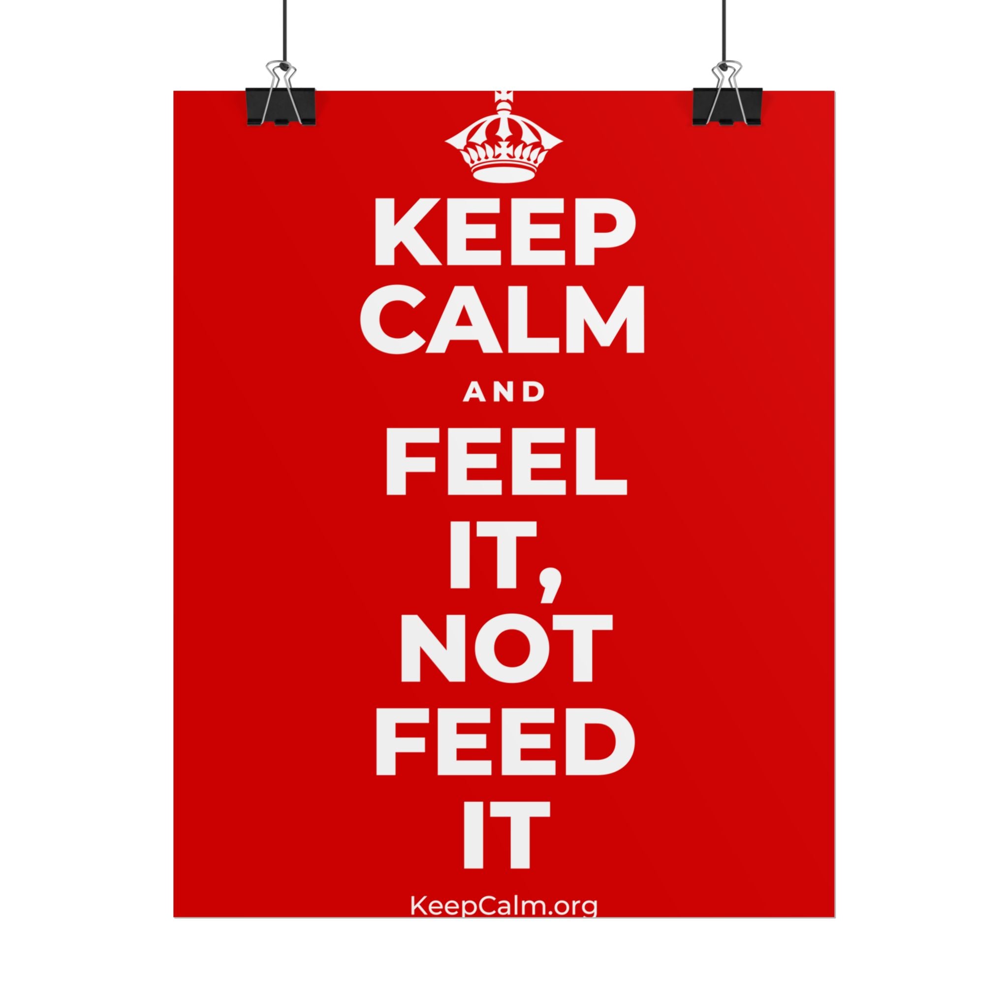 KEEP CALM AND FEEL IT, NOT FEED IT Poster