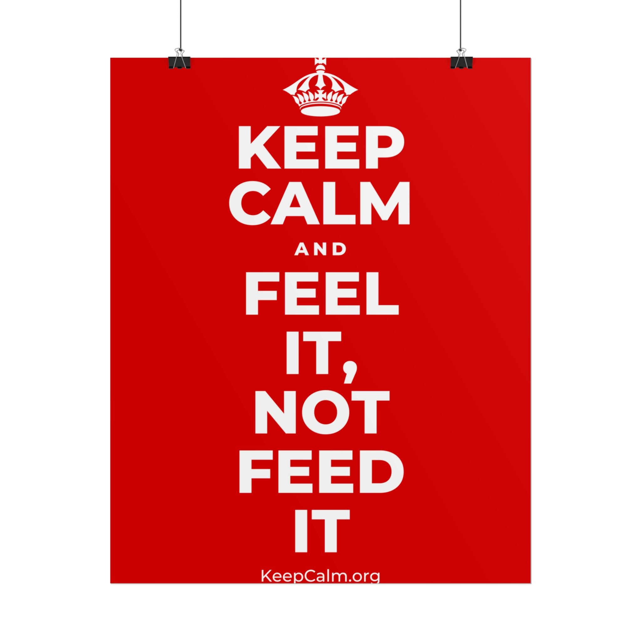 KEEP CALM AND FEEL IT, NOT FEED IT Poster