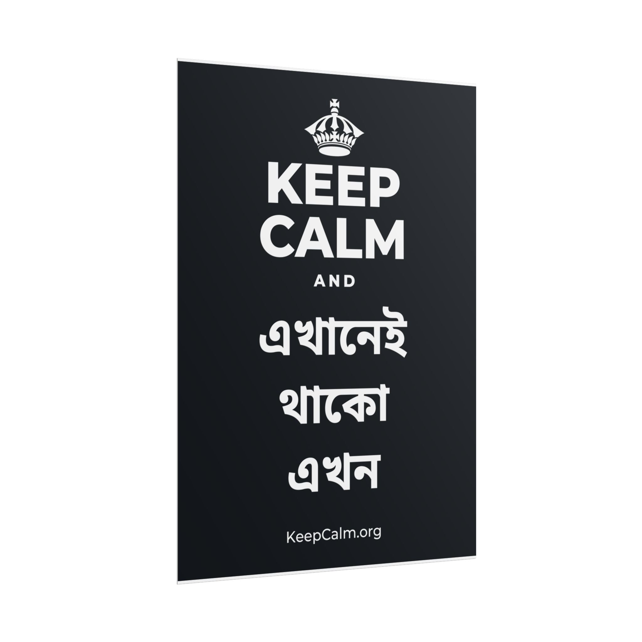 KEEP CALM AND এখানেই থাকো এখন Poster (Dark)