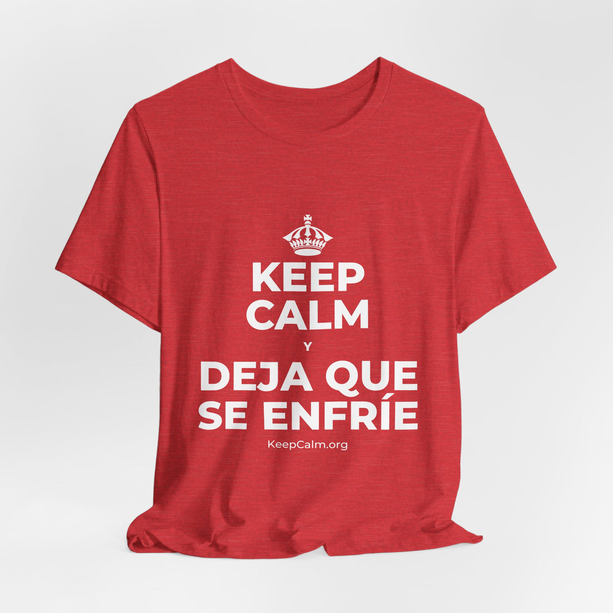 KEEP CALM Y DEJA QUE SE ENFRÍE T-Shirt (Baby Blue–Silver)
