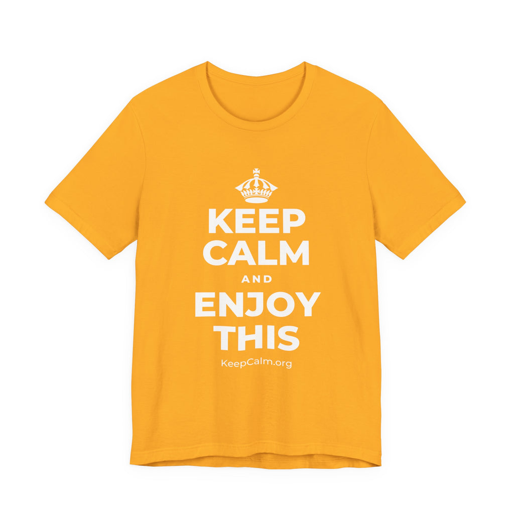 KEEP CALM AND ENJOY THIS T-Shirt (Baby Blue–Silver)