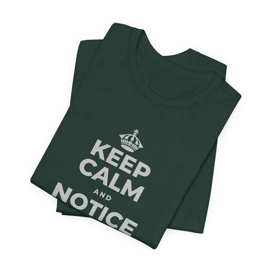 KEEP CALM AND NOTICE YOU'RE SAFE RIGHT NOW T-Shirt (White–Asphalt)