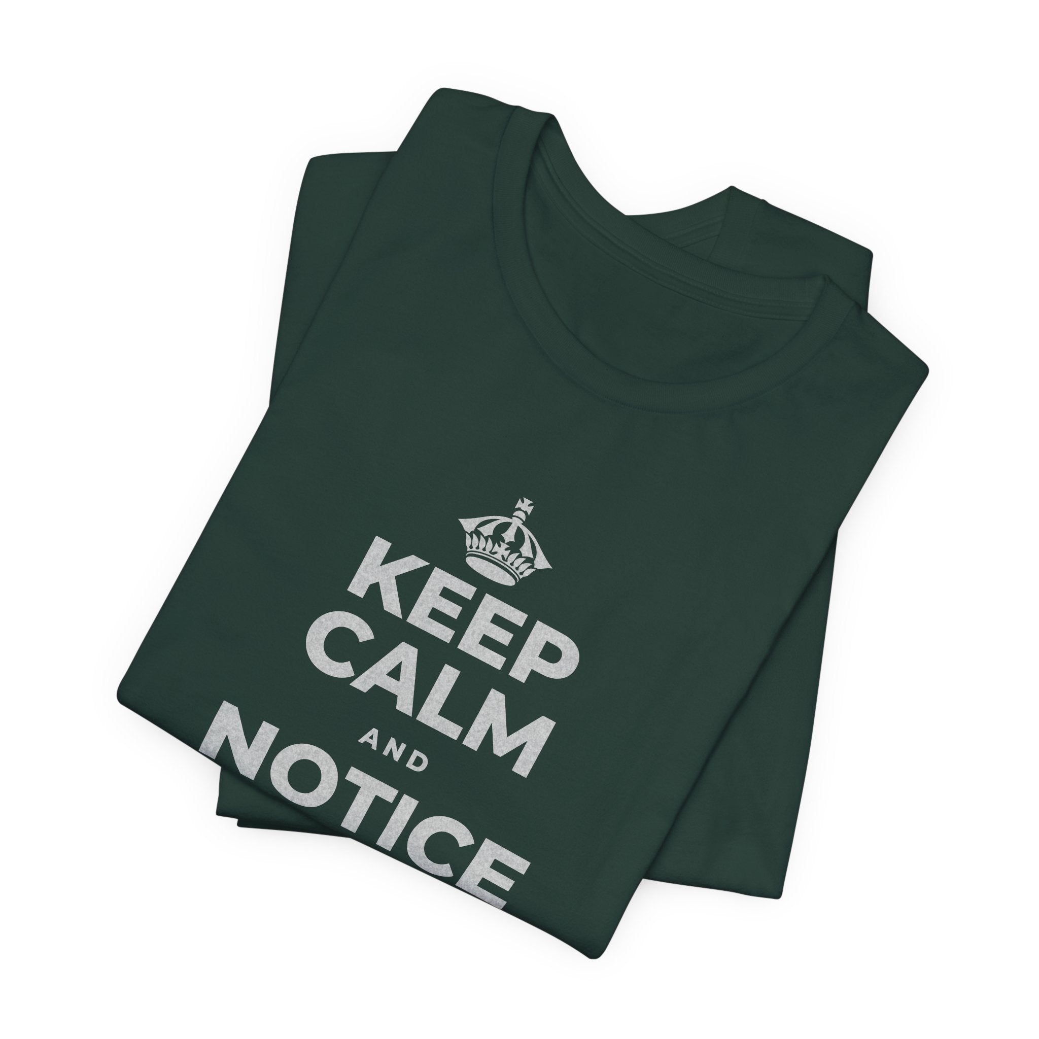 KEEP CALM AND NOTICE YOU'RE SAFE RIGHT NOW T-Shirt (White–Asphalt)
