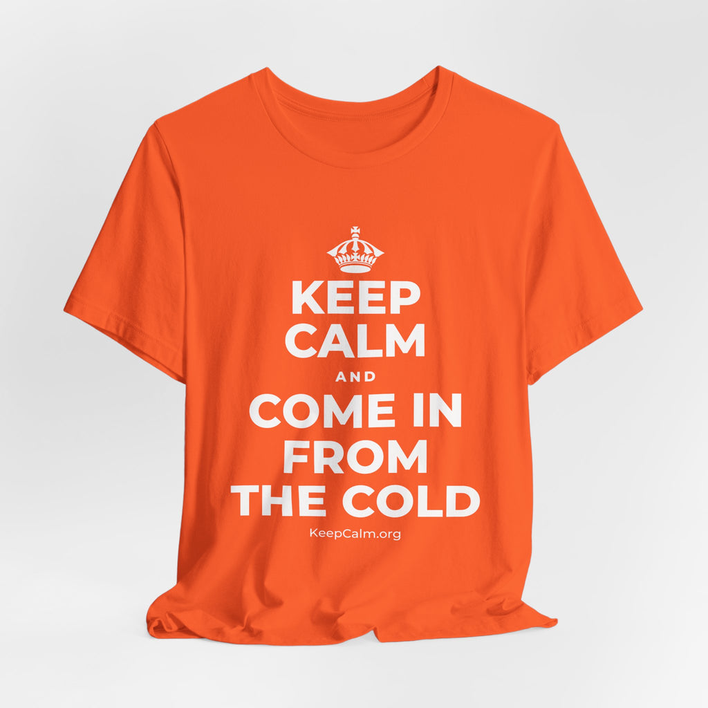 KEEP CALM AND COME IN FROM THE COLD T-Shirt (Baby Blue–Silver)
