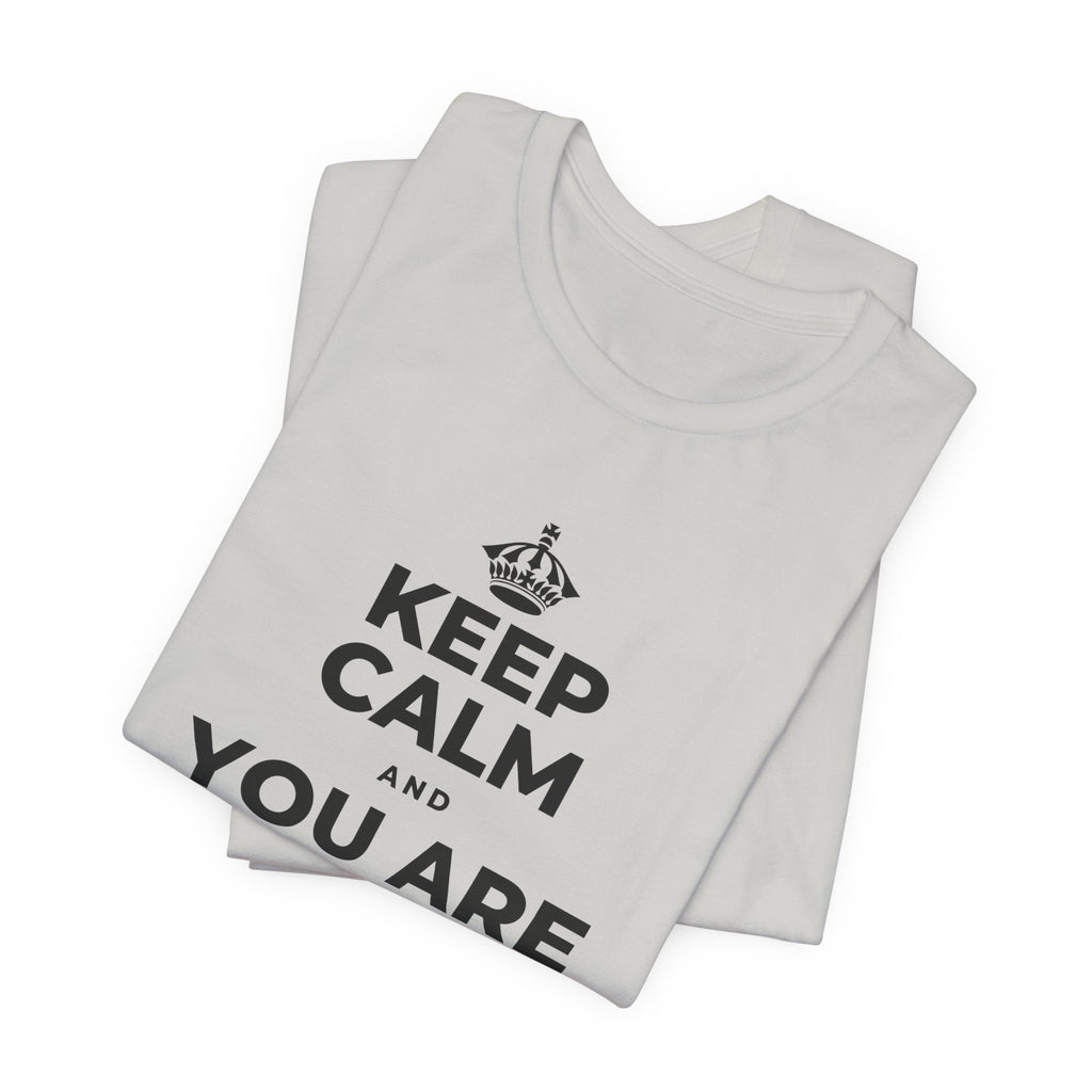 KEEP CALM AND YOU ARE DOING GREAT TODAY T-Shirt (Baby Blue–Silver)