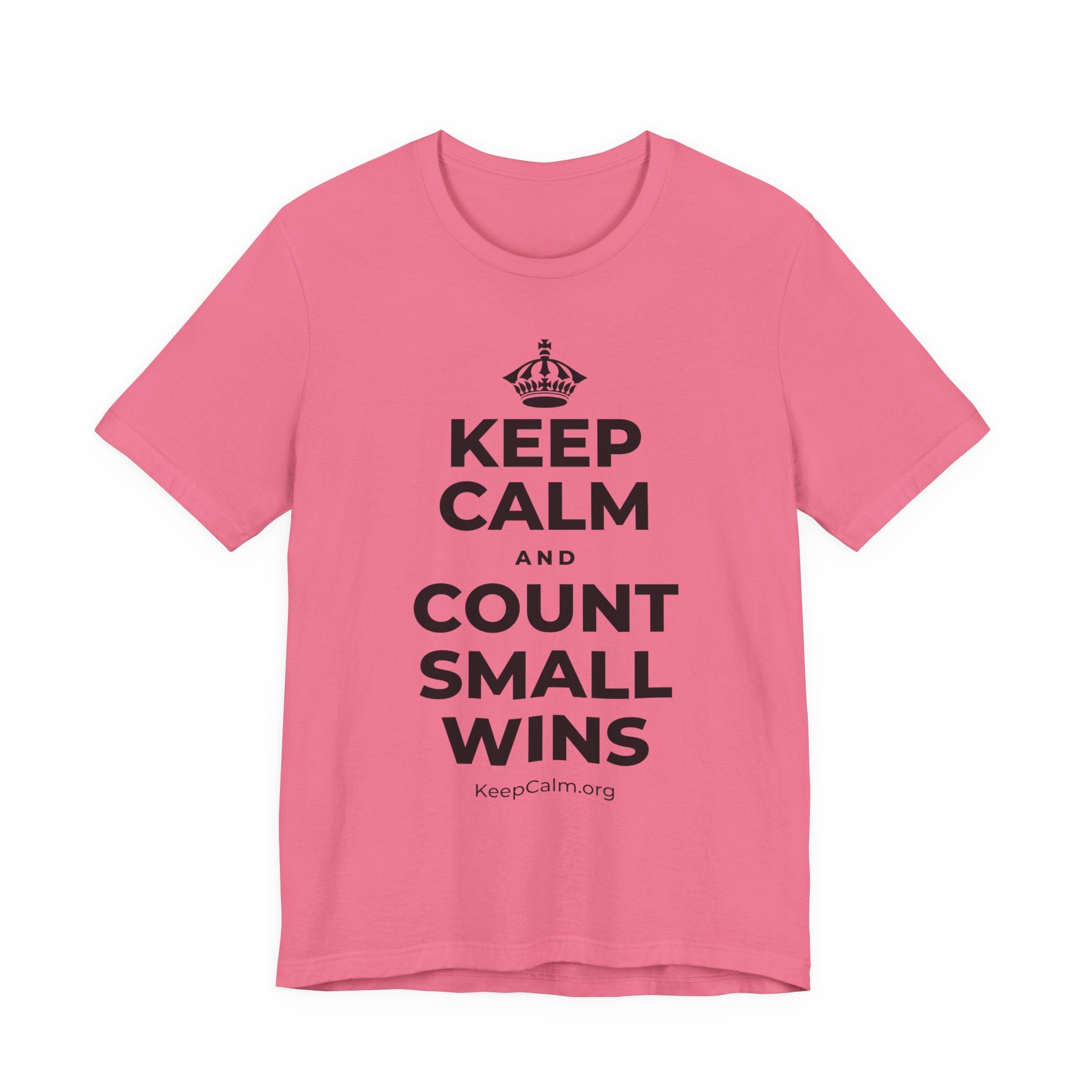 KEEP CALM AND COUNT SMALL WINS T-Shirt (Military Green–Autumn)