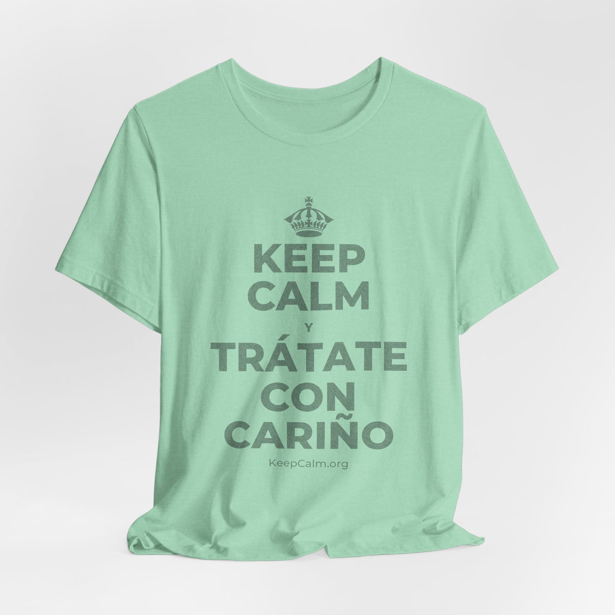 KEEP CALM Y TRÁTATE CON CARIÑO T-Shirt (Baby Blue–Silver)