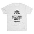 KEEP CALM AND LET YOUR FEELINGS MAKE SENSE Tri-Blend Tee