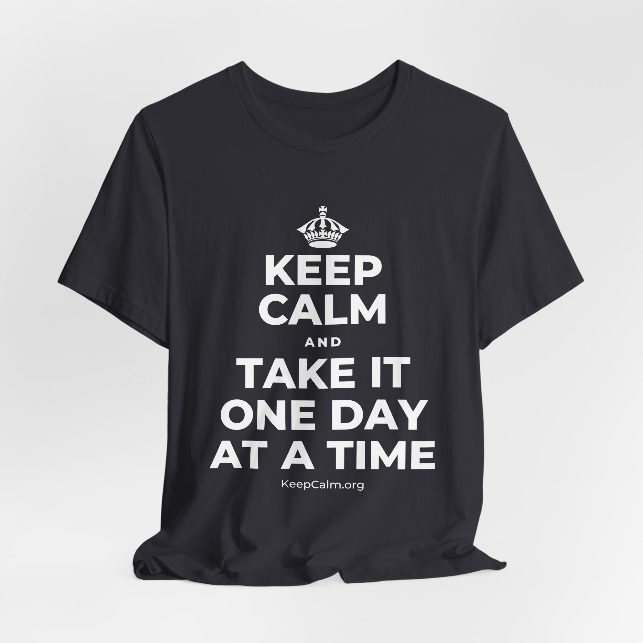 KEEP CALM AND TAKE IT ONE DAY AT A TIME T-Shirt (Baby Blue–Silver)