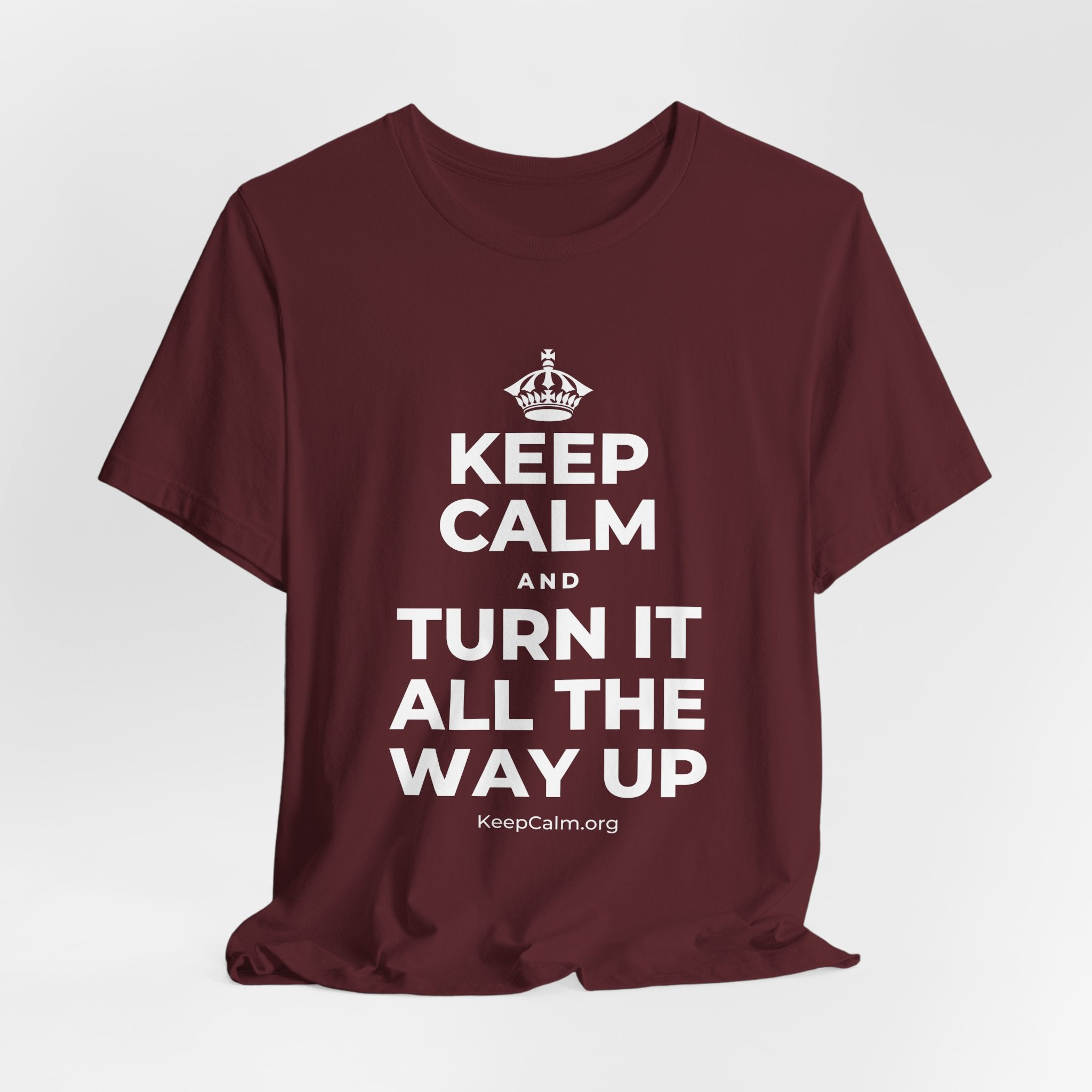 KEEP CALM AND TURN IT ALL THE WAY UP T-Shirt (Baby Blue–Silver)
