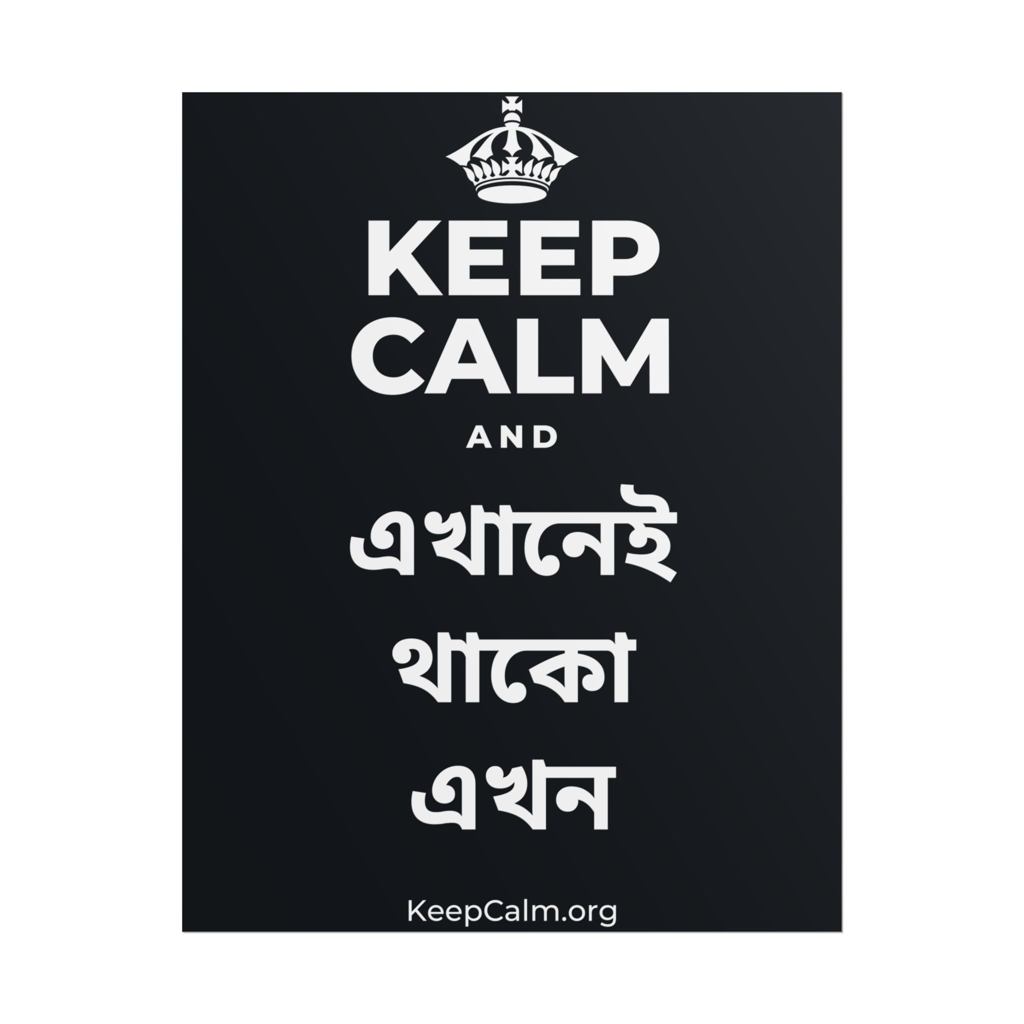 KEEP CALM AND এখানেই থাকো এখন Poster (Dark)