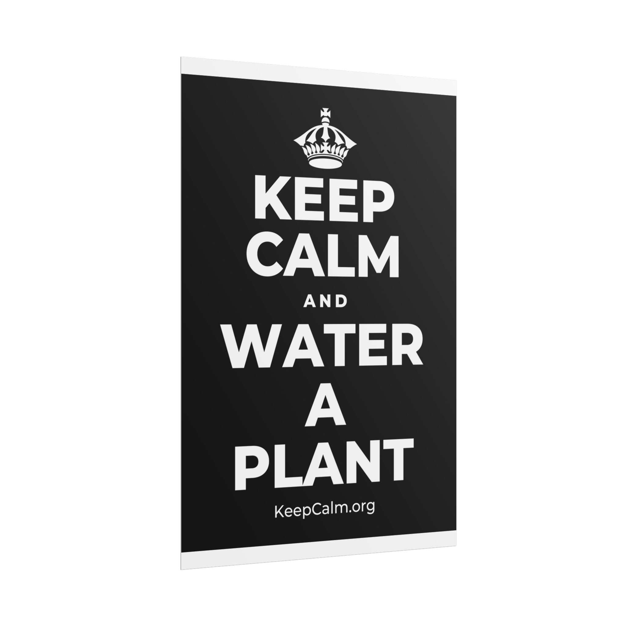 KEEP CALM AND WATER A PLANT Poster