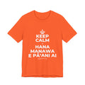 KEEP CALM A HANA MANAWA E PĀʻANI AI T-Shirt (Baby Blue–Silver)