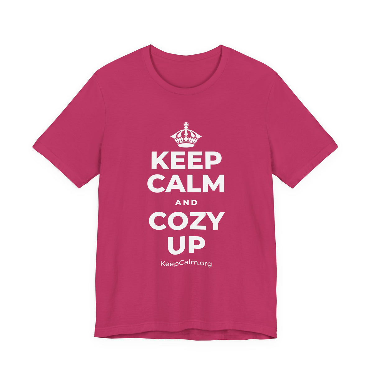 KEEP CALM AND COZY UP T-Shirt (Baby Blue–Silver)