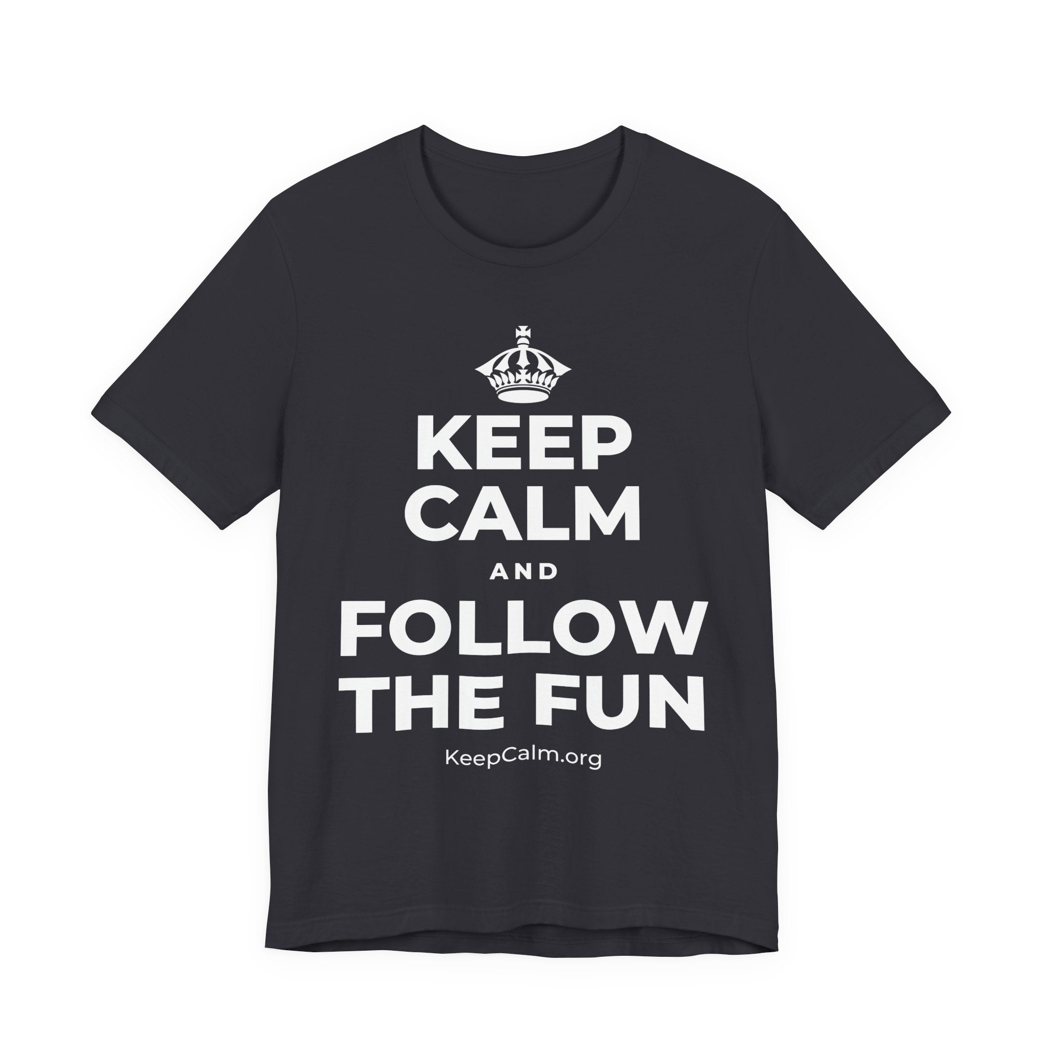 KEEP CALM AND FOLLOW THE FUN T-Shirt (Baby Blue–Silver)