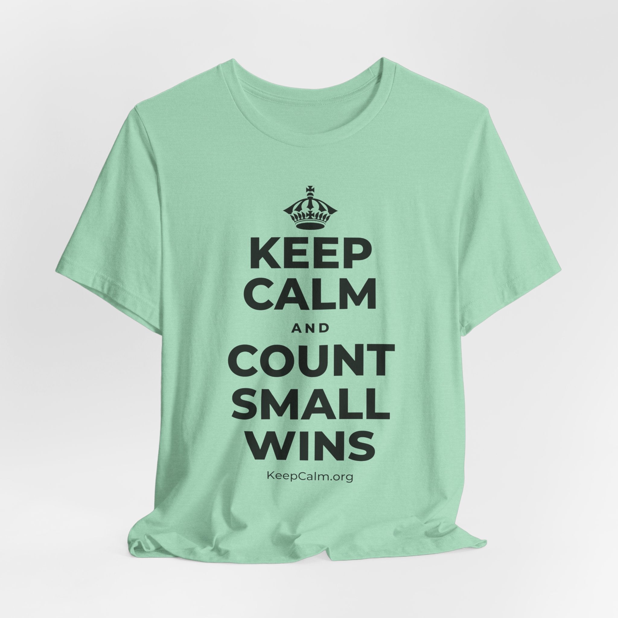 KEEP CALM AND COUNT SMALL WINS T-Shirt (Baby Blue–Silver)