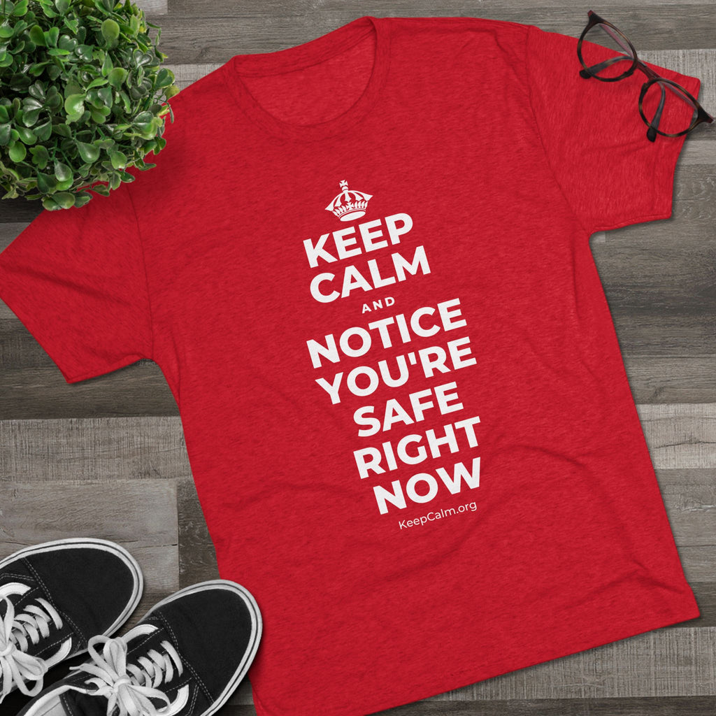 KEEP CALM AND NOTICE YOU'RE SAFE RIGHT NOW Tri-Blend Tee