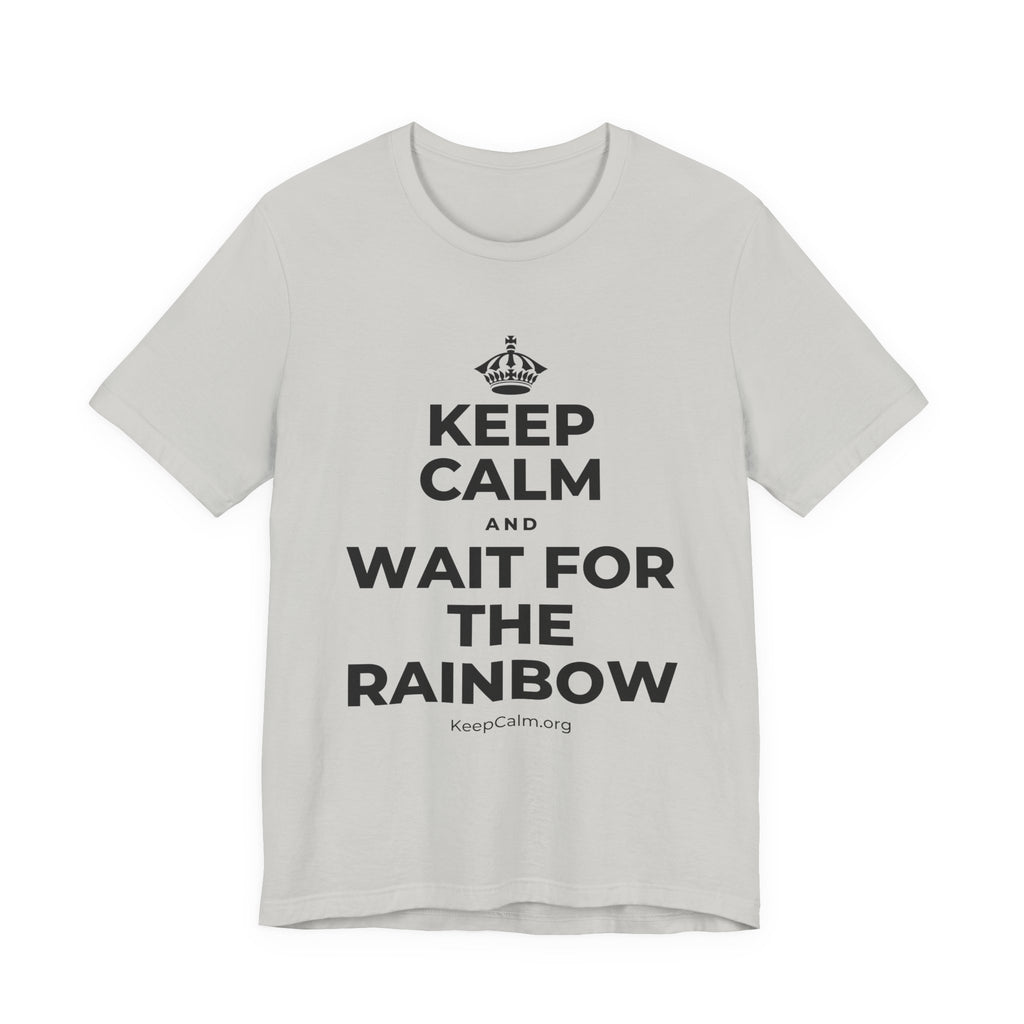 KEEP CALM AND WAIT FOR THE RAINBOW T-Shirt (Baby Blue–Silver)