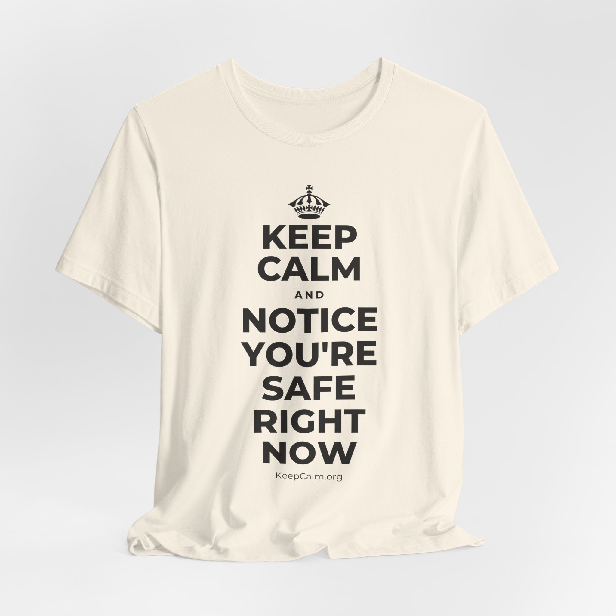 KEEP CALM AND NOTICE YOU'RE SAFE RIGHT NOW T-Shirt (White–Asphalt)