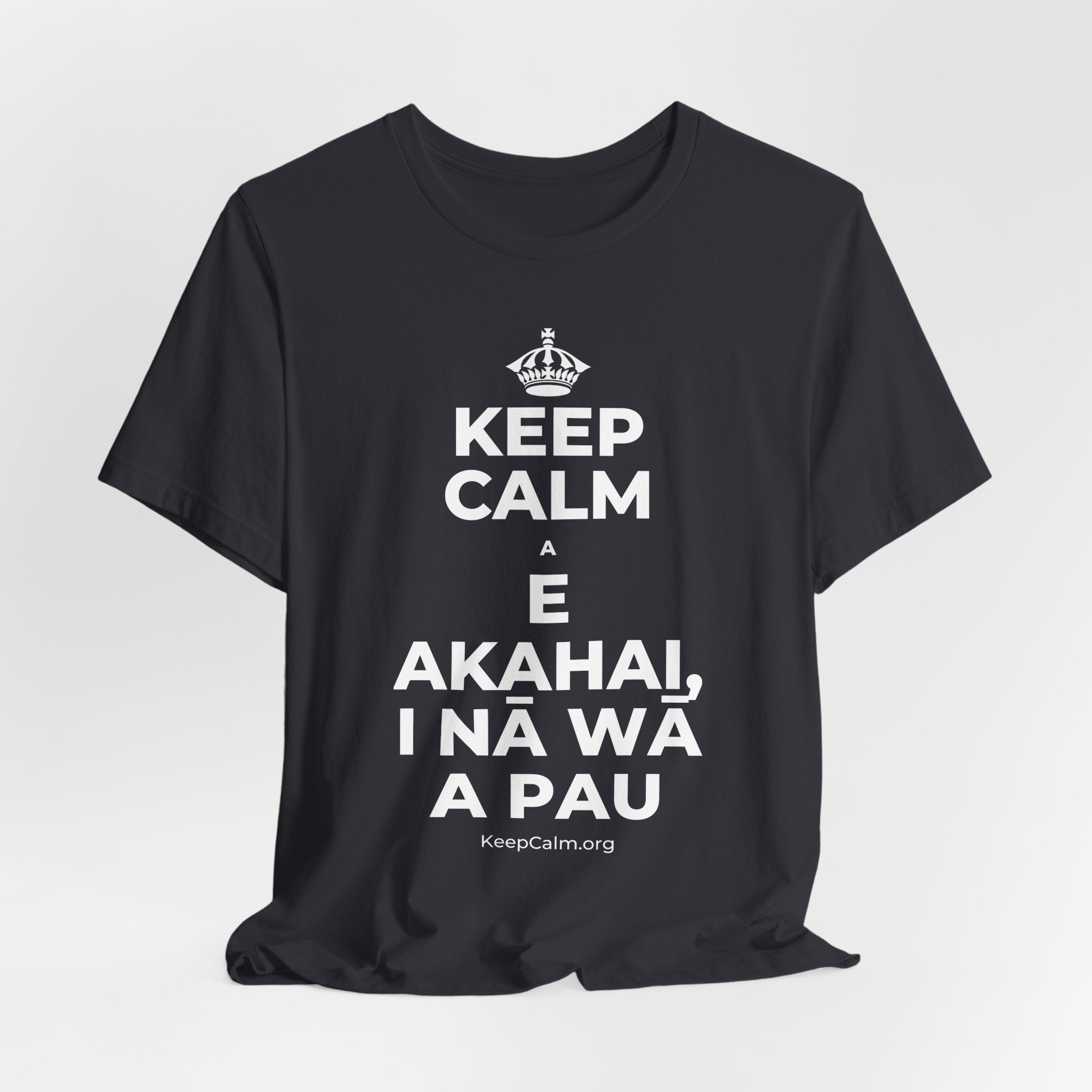 KEEP CALM A E AKAHAI, I NĀ WĀ A PAU T-Shirt (Baby Blue–Silver)