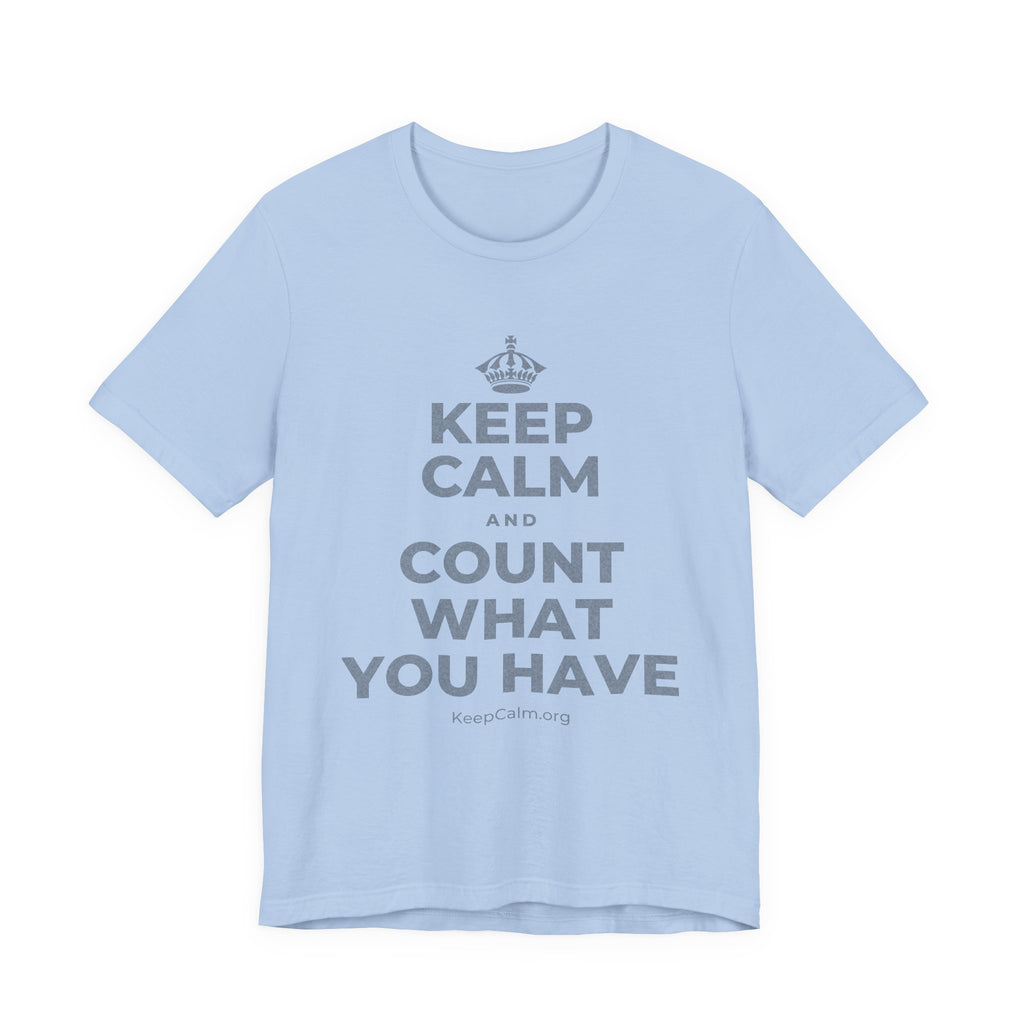 KEEP CALM AND COUNT WHAT YOU HAVE T-Shirt (Baby Blue–Silver)