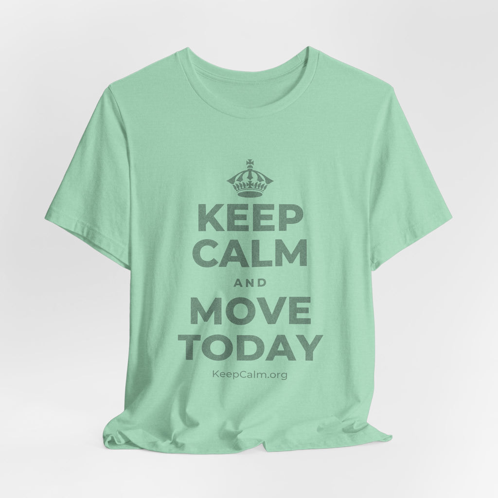 KEEP CALM AND MOVE TODAY T-Shirt (Baby Blue–Silver)