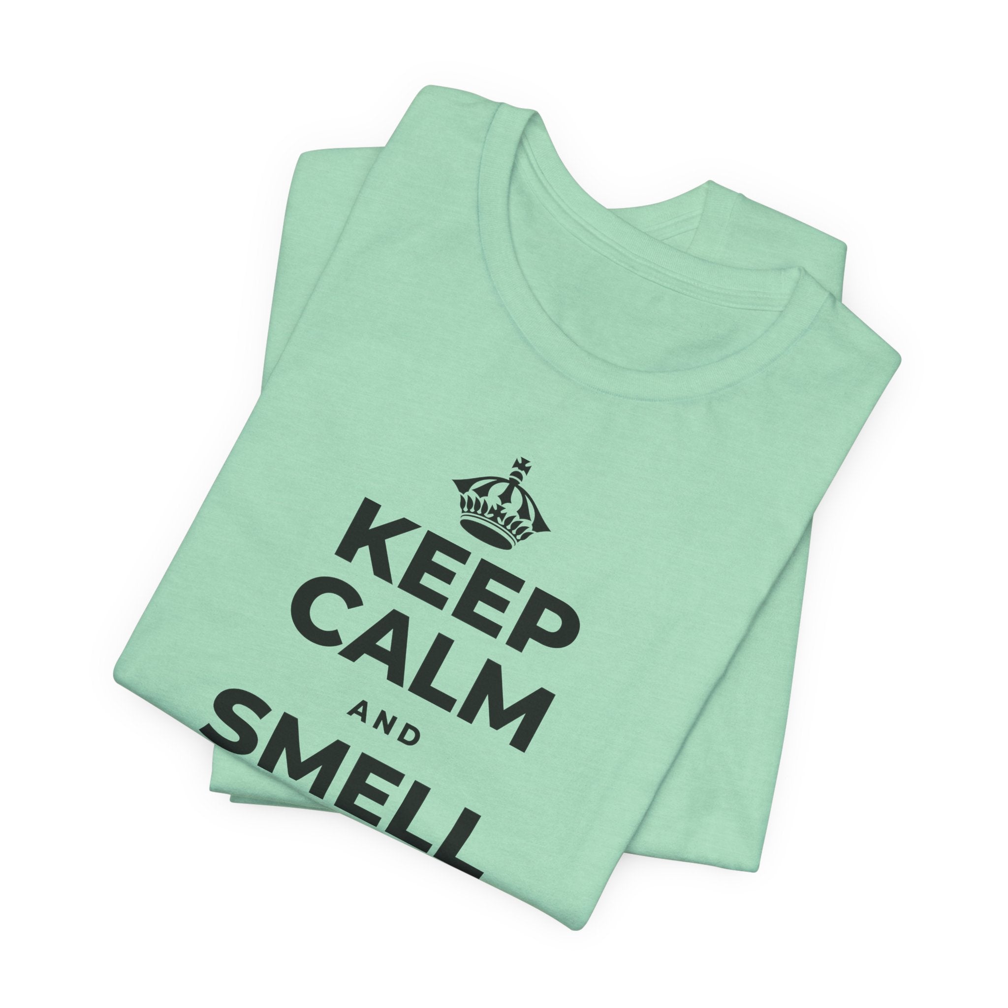KEEP CALM AND SMELL THE FRESH AIR T-Shirt (Baby Blue–Silver)