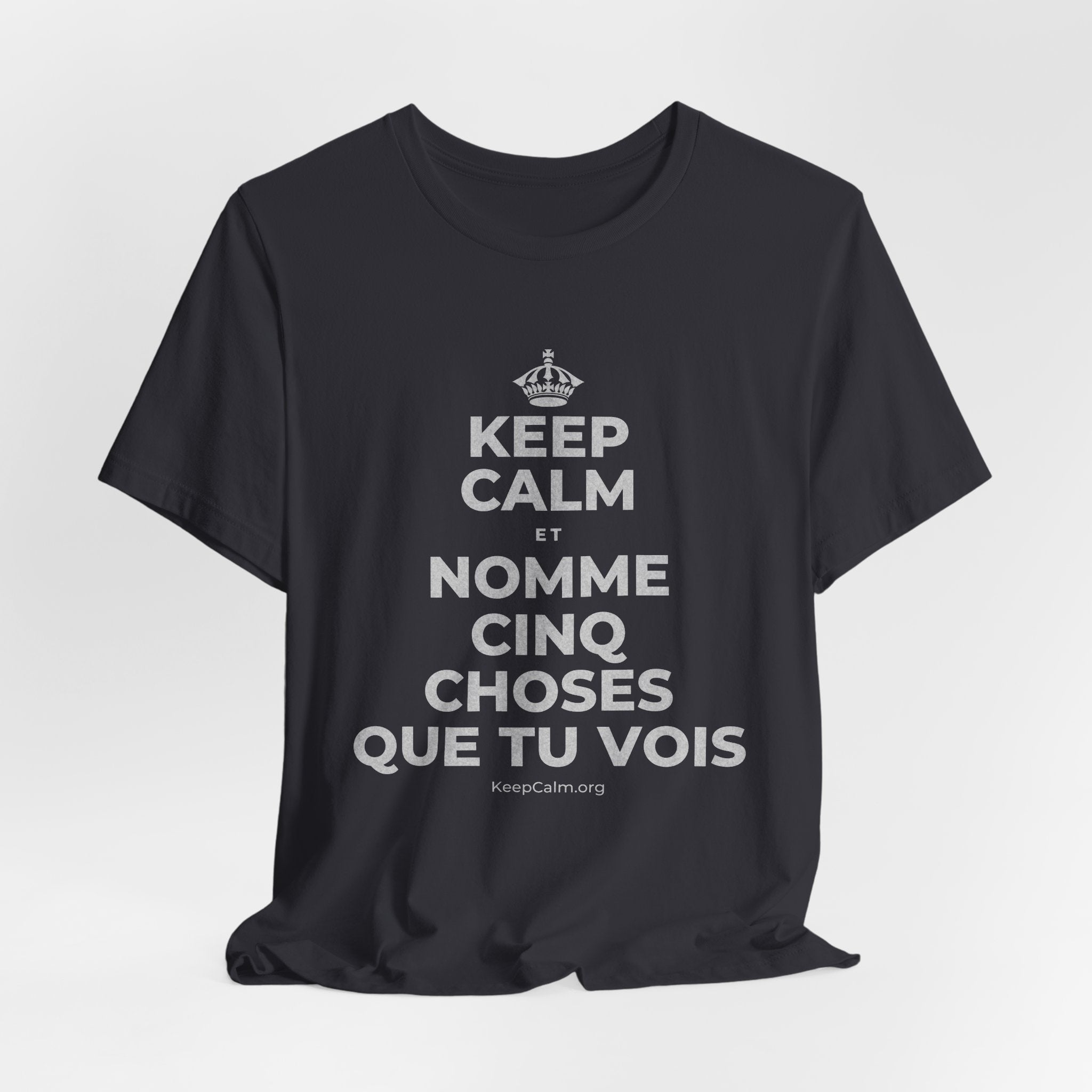KEEP CALM ET NOMME CINQ CHOSES QUE TU VOIS T-Shirt (Baby Blue–Silver)