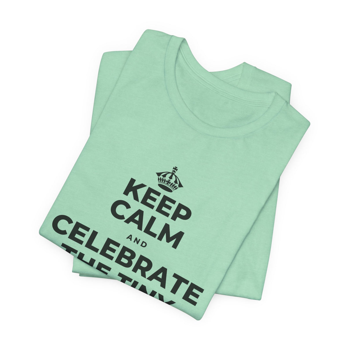 KEEP CALM AND CELEBRATE THE TINY VICTORIES EVERY SINGLE DAY T-Shirt (Baby Blue–Silver)