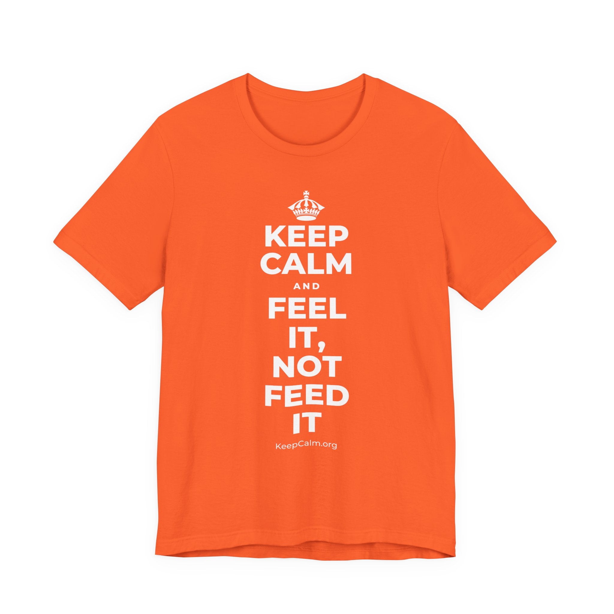 KEEP CALM AND FEEL IT, NOT FEED IT T-Shirt (Baby Blue–Silver)