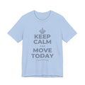 KEEP CALM AND MOVE TODAY T-Shirt (Baby Blue–Silver)