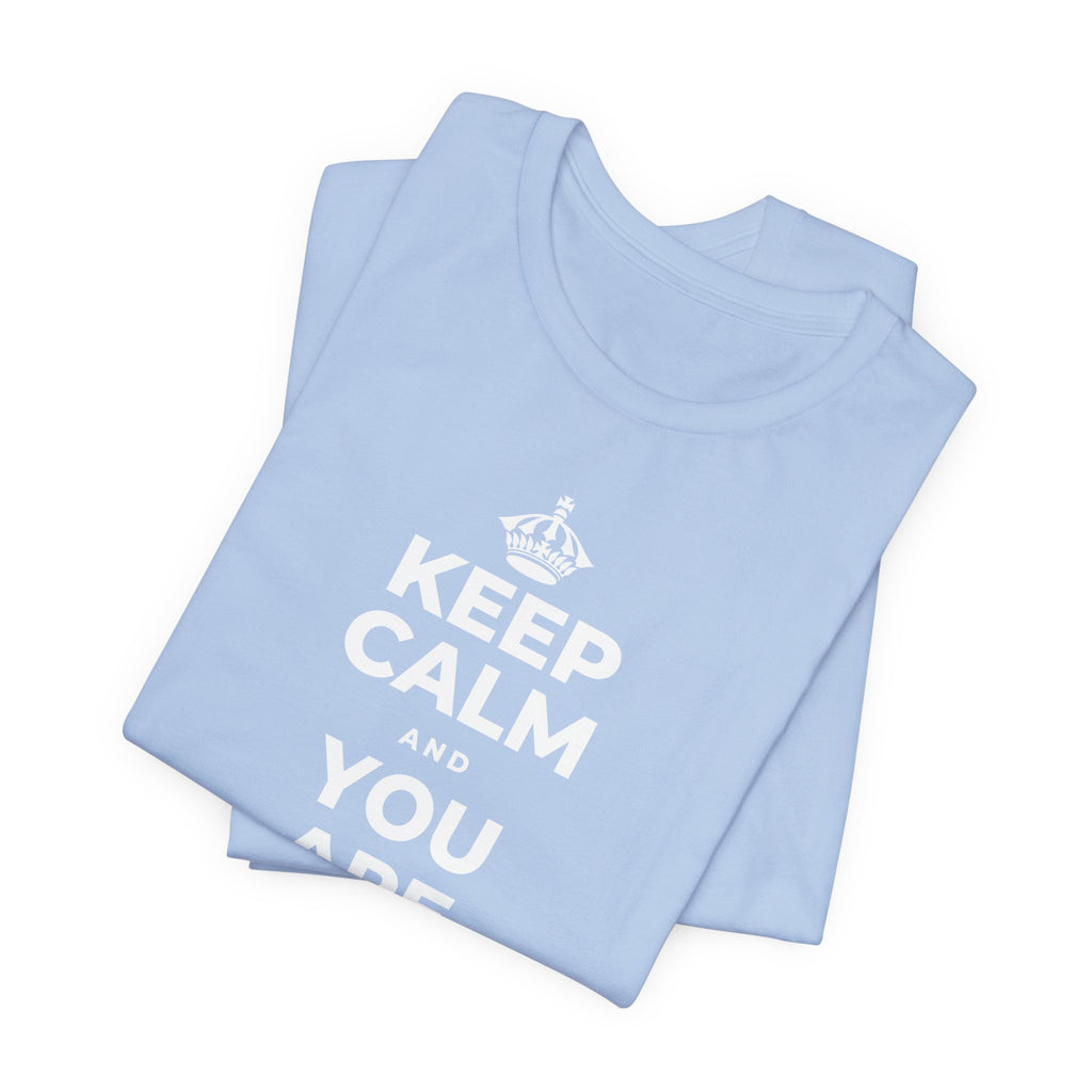 KEEP CALM AND YOU ARE DOING GREAT TODAY T-Shirt (Baby Blue–Silver)