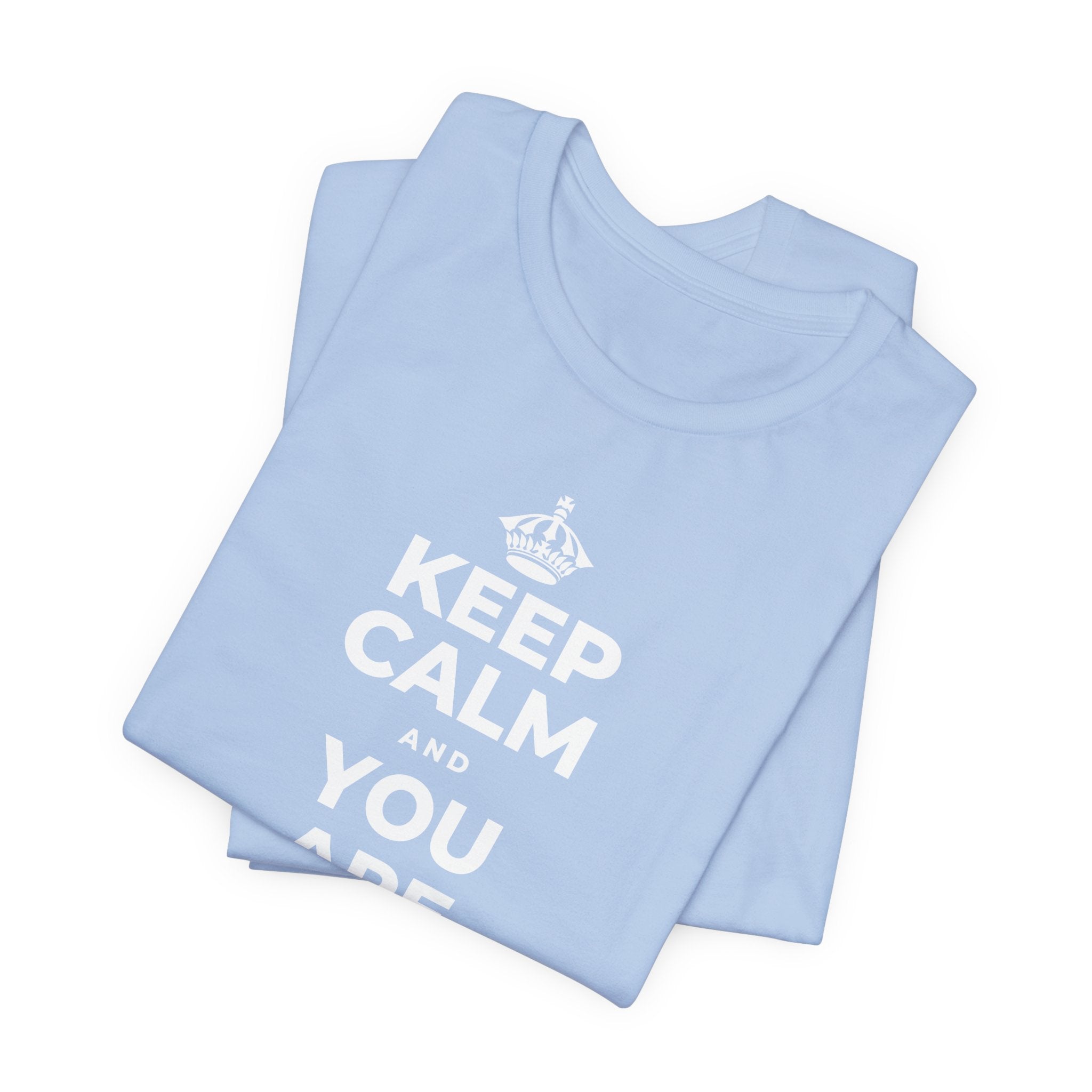 KEEP CALM AND YOU ARE DOING GREAT TODAY T-Shirt (Baby Blue–Silver)