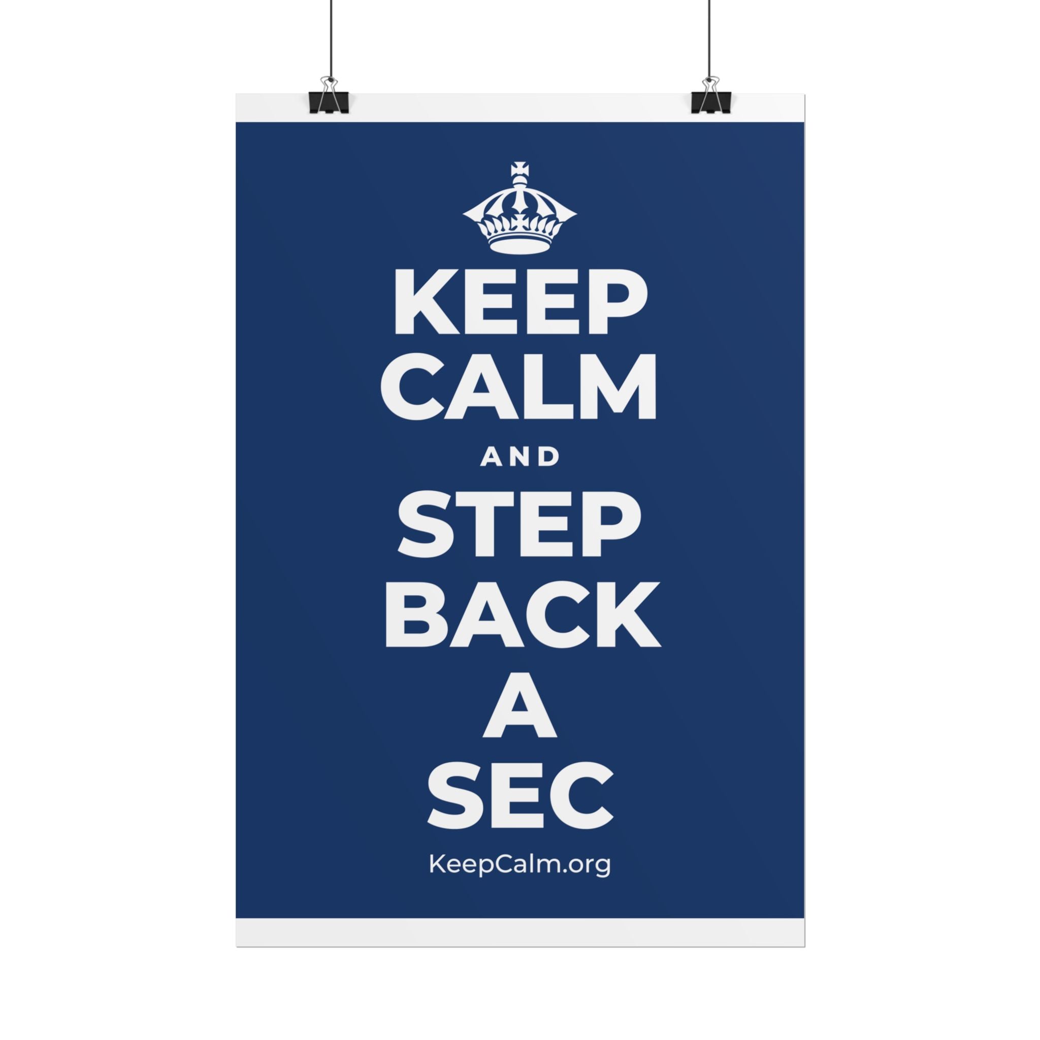 KEEP CALM AND STEP BACK A SEC Poster