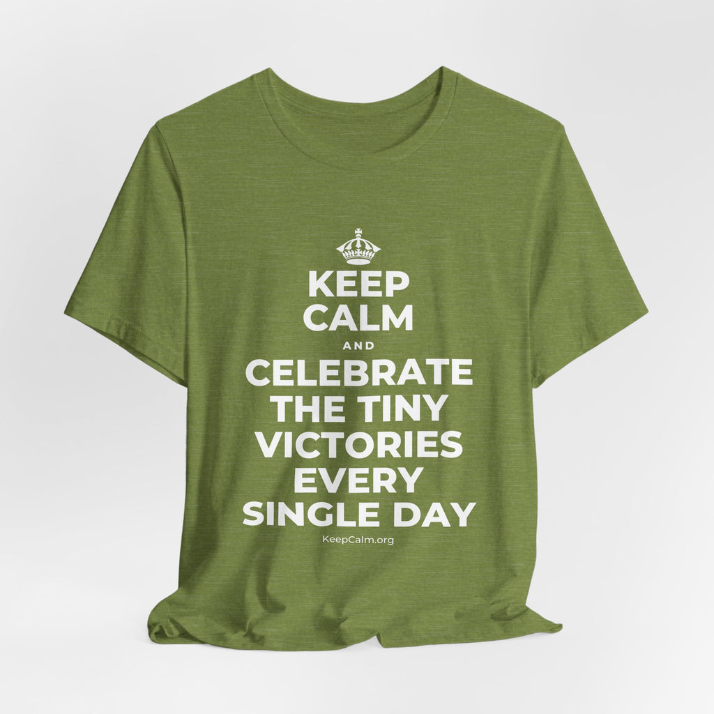 KEEP CALM AND CELEBRATE THE TINY VICTORIES EVERY SINGLE DAY T-Shirt (Baby Blue–Silver)