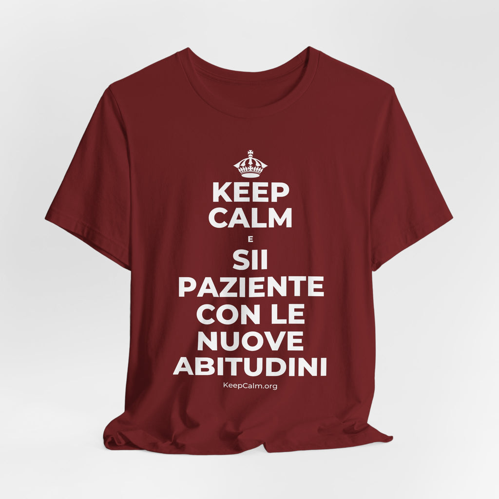 KEEP CALM E SII PAZIENTE CON LE NUOVE ABITUDINI T-Shirt (Baby Blue–Silver)