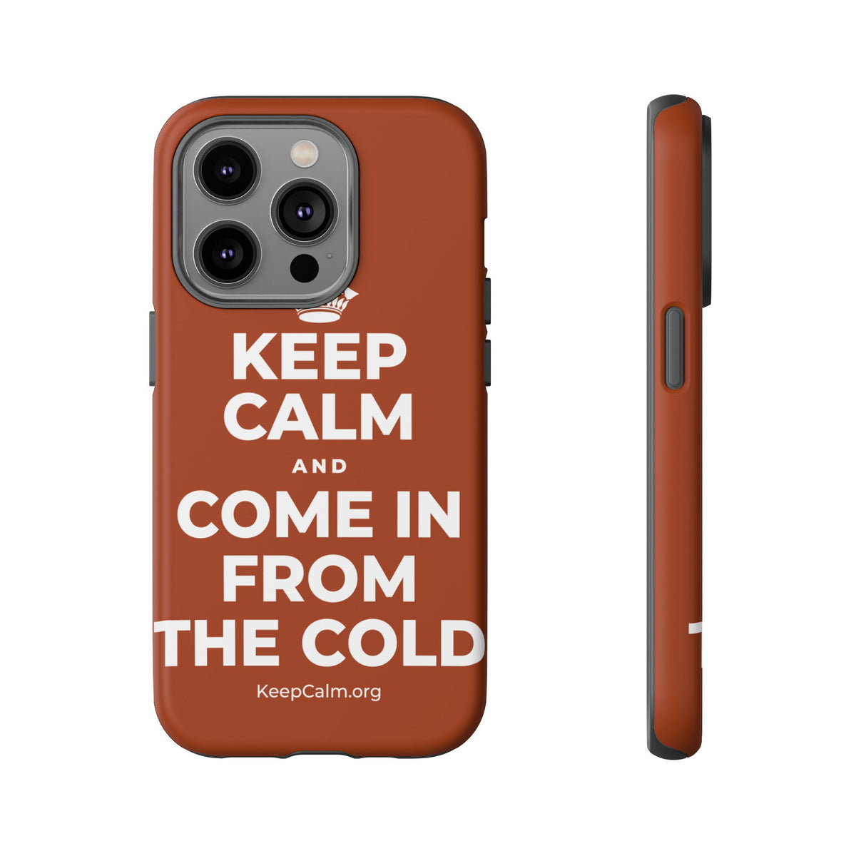 KEEP CALM AND COME IN FROM THE COLD Phone Case