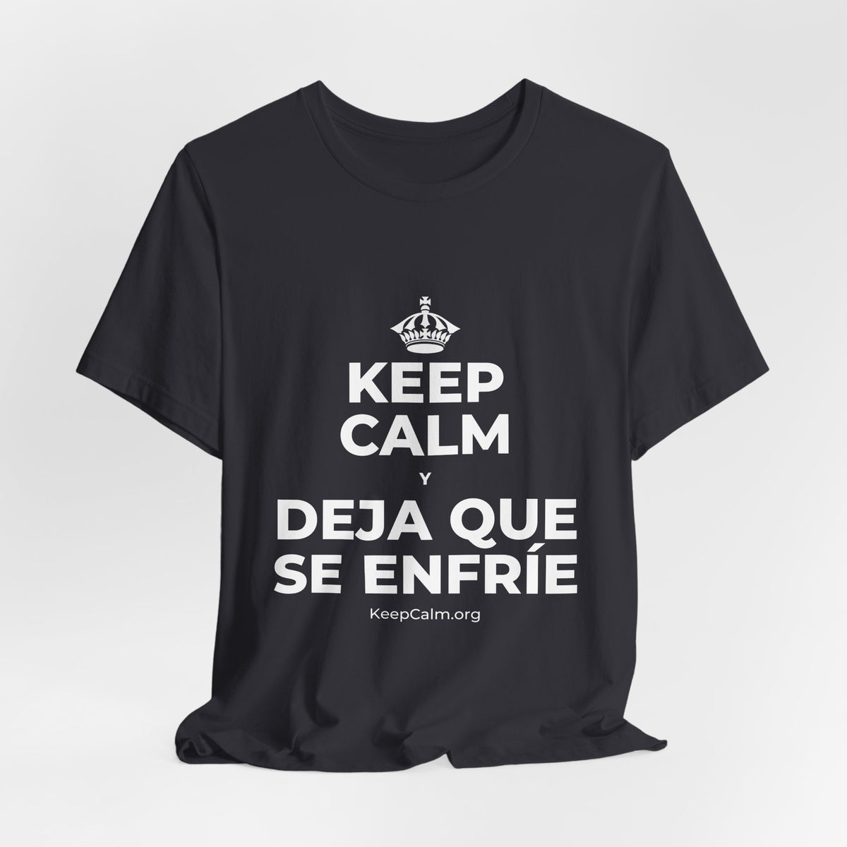 KEEP CALM Y DEJA QUE SE ENFRÍE T-Shirt (Baby Blue–Silver)